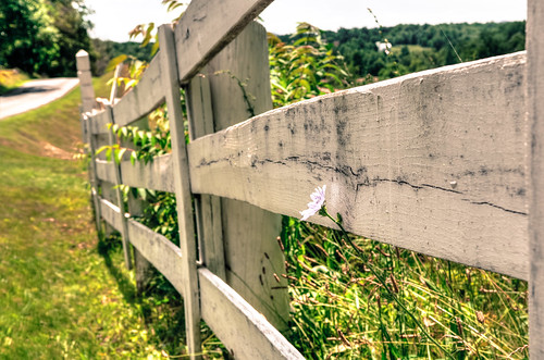 greenwood virginia fence outside landscape farm country hff