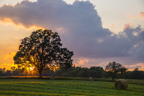 sunset field tree silhouette hay haybale sun clouds dusk fremontmi