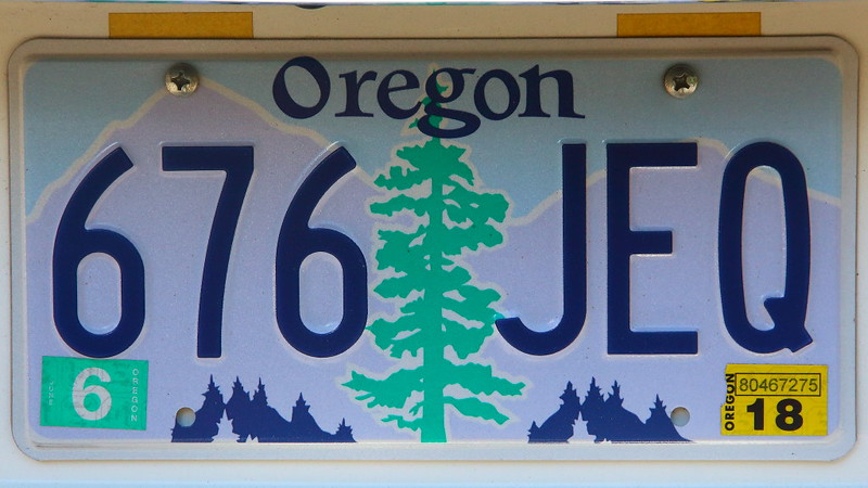 IMG_0770 Douglas-Fir: State Tree of Oregon