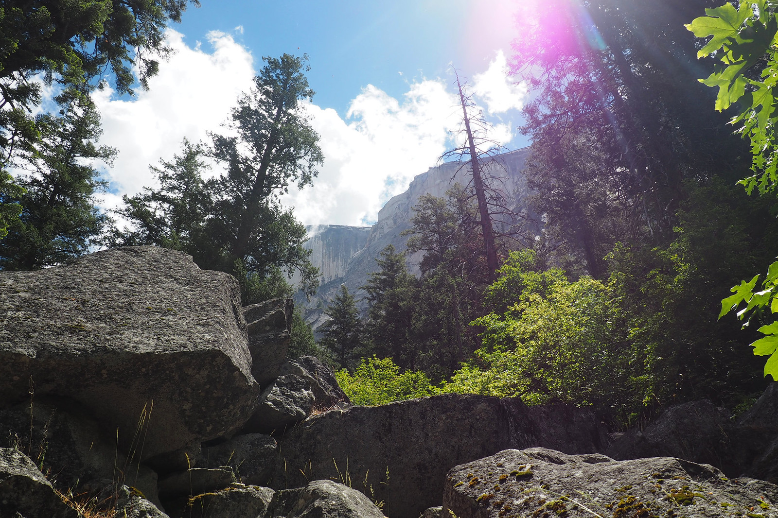Yosemite National Park 5