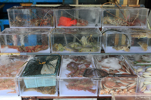 Lei Yue Mun seafood market