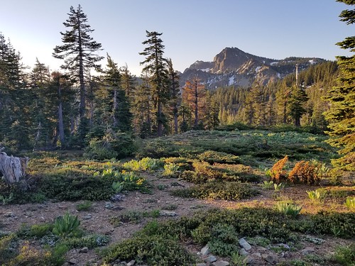 sierra sierrabuttes california downieville granite hike davidhallock