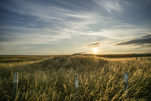 wiltshire salisburyplain sunset sundown evening goldenhour golden grasses grassland tokina2035 32