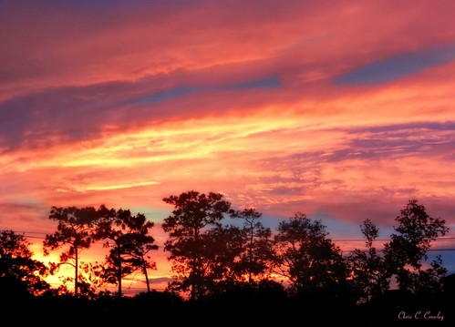 toogoodtopassup floridasunset sunsetinormondbeachflorida sunset trees silhouettes sky clouds dramaticsunset