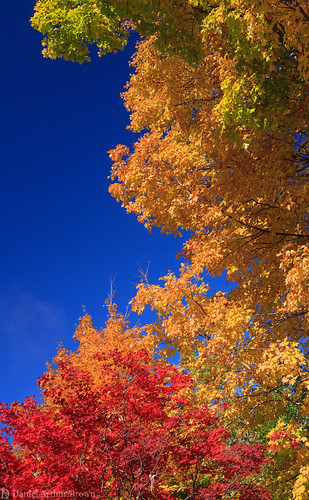 bellaire mi michigan october shantycreek vacation autumn fall fallcolors fallfoliage landscape leafpeeping nature travel unitedstates us