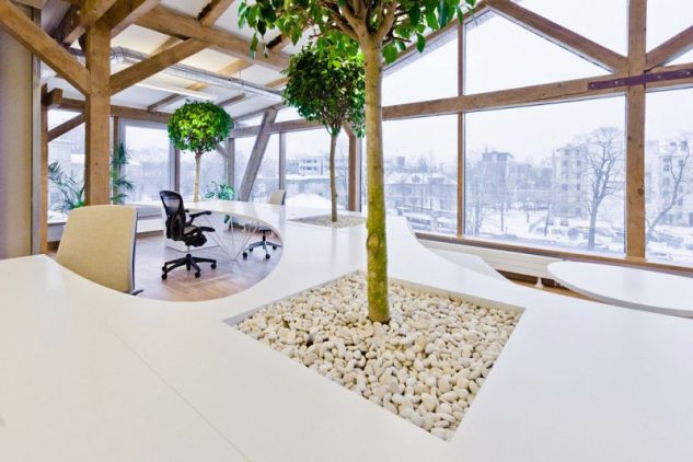 Amazing Indoor Trees to Enliven Your Interior Space