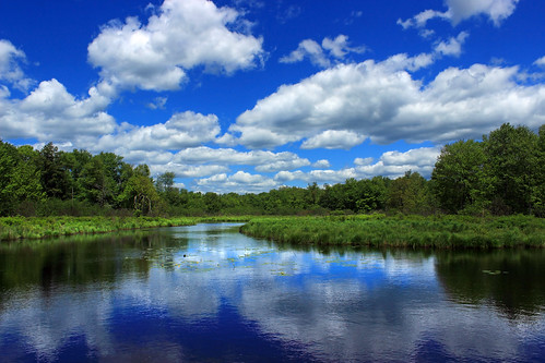 pennsylvania monroecounty tobyhannacreek poconos landscape pond wetland sky clouds cumulus summer nature creativecommons