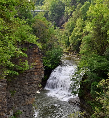 forestfalls fallcreek ithaca newyork usa waterfalls