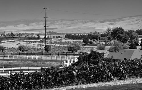 americanviticulturalarea blackwhite bluemountains blueskies buildings capturenx2edited colorefexpro columbiariverplateau day6 electriclines electricpoles electricpowerlines fenceline fenceposts fences lookingne mountains mountainsindistance mountainsoffindistance nature nikond800e northstarwinery poles portfolio post powerlines project365 rowsofvineyards transmissionlinetowers transmissionlines triptomountrainierandcolumbiarivergorge utilitypoles vineyards wallawalla wallawallavalleyava wallawallawineries whitefence woodenfence wa unitedstates