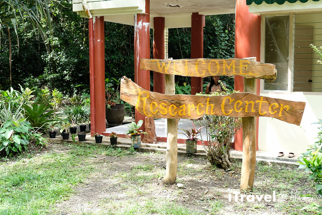 菲律宾薄荷岛眼镜猴保育中心 Tarsier Sanctuary (24)