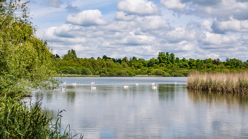 hampshire alresford lake pond