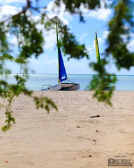 #sundaymood #catamaran #beach #bluesky #clearwater #sandybay #travelphotography #caribean #sea #summervibes
