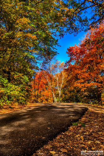 hdr minnesota mn autumn fall tree leaves trail canon minnesotalandscapearboretum landscape fallcolor vonwahlde