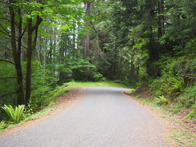 North Shore Road: This road gave me a run for my money with its unstable and rough surface in places, tight curves, blind corners, steep hills, and frequent fast descents into hairpins.  I had to walk down some hills because I was fearful of wiping out.