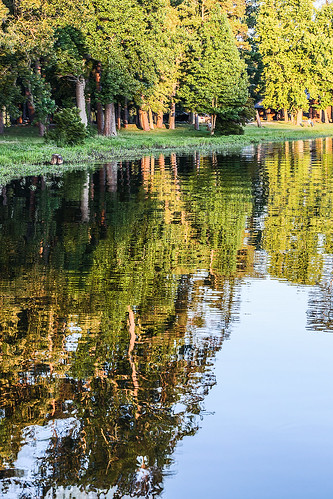 huntsville texas samhouston huntsvillestatepark lakeraven cherokee cherokeename colonneh raven trees sunset ripples waterplants water reflection