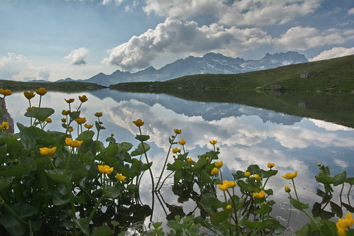 savoie maurienne lac eau montagne fleurs printemps ciel nuages reflet