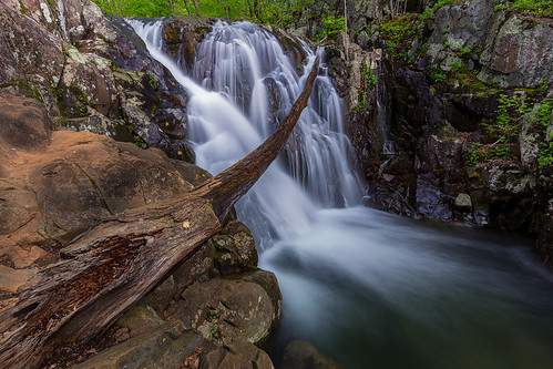 roseriverfalls shenandoahnationalpark waterfall cascade log water usa landscape spring virginia creativcommons