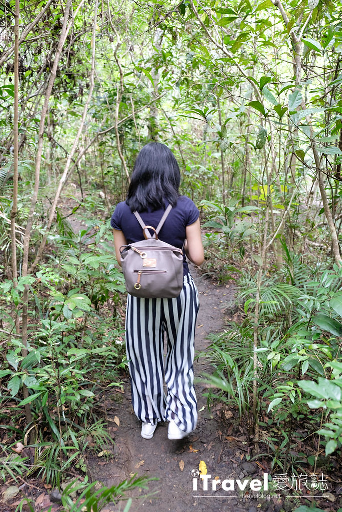菲律宾薄荷岛眼镜猴保育中心 Tarsier Sanctuary (17)