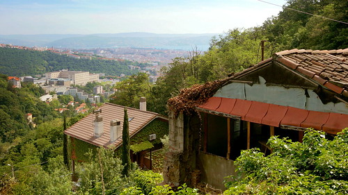trieste fvg friuliveneziagiulia ivy overgrown view house