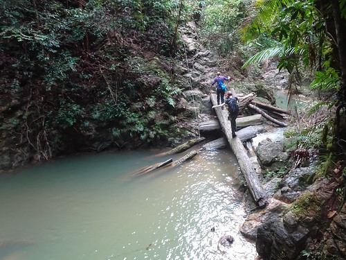 malaysia asia waterfall jungle hike kotatinggi