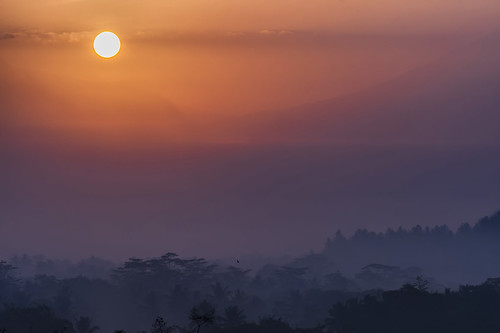 barede borobudur sunrise goldenhours forest indonesia java asia sun