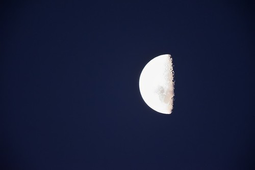 aus australia newsouthwales woodville moon nikond750