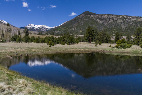 arizona coconinonationalforest flagstaffrangerdistrict forestservice lockettmeadow lockettmeadowcampground nationalforest pentaxk1 sanfranciscopeaks usfs flagstaff forest outdoors spring unitedstates