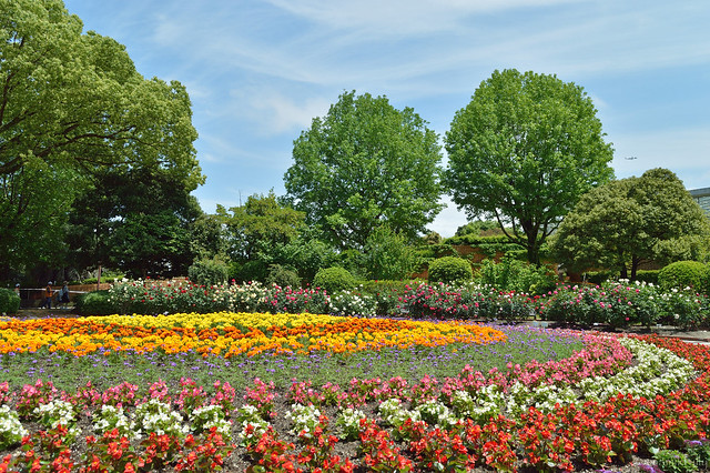 春の福岡市植物園