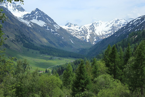 valais suisse valferret lafouly montagnes nature arbres forêts printemps paysages neige vert