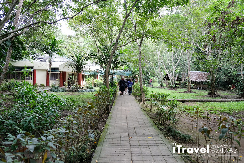 菲律宾薄荷岛眼镜猴保育中心 Tarsier Sanctuary (3)