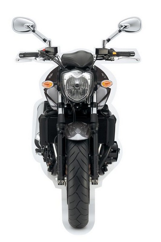 Grille De Protection Radiateur Moto Suzuki GSX-F 650 / GSF 1250 Bandit (2007-2016) - Noir, Montage Direct Sans Modification - 4