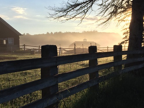 iphone sunrise mist fence farm charm newengland stowma shadow light warm