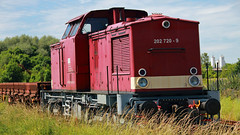 17381.Diesellok 202 790-9 steht in EF Nord