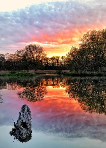 sunrise bliss riverside scarborough