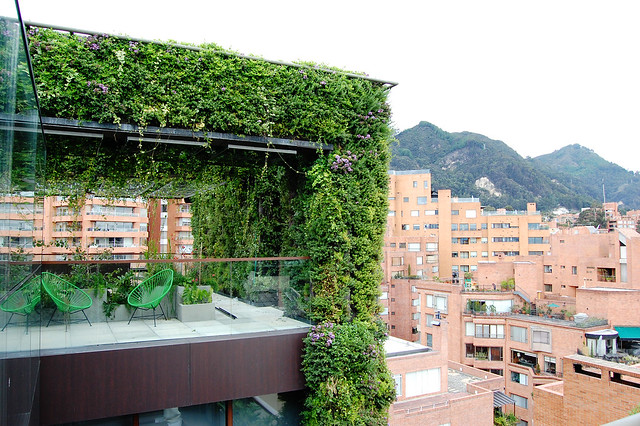 Colombia: Bogota 'vertical gardens' hint at greener future