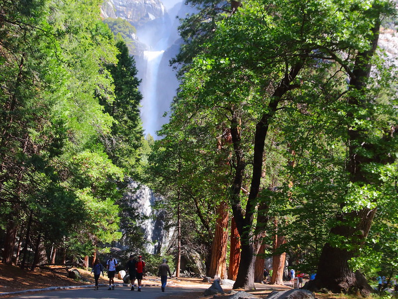 IMG_0558 Lower Yosemite Falls