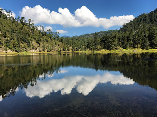 lake reflection woods forest national park zempoala morelos mexico blue sky