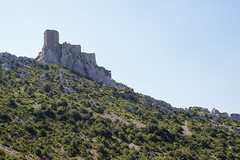 8259 Château de Quéribus - Photo of Paziols