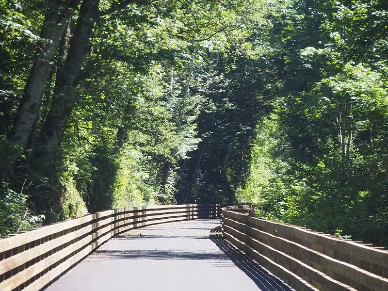 Foothills Trail Bridge