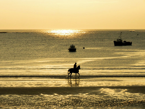 ireland éire eire clare anclár county wildatlanticway beach harbour sea dusk horse