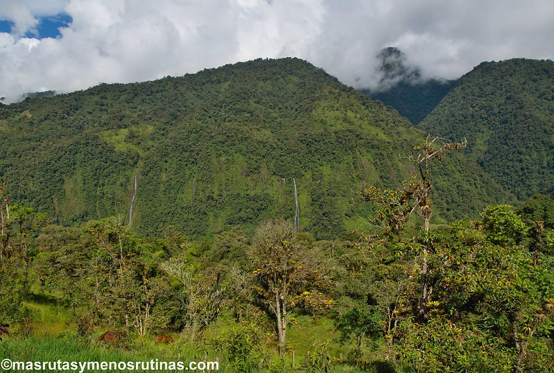 Cascadas, bosques nubosos y selva. Baños y la Troncal amazónica - Acuavacaciones en Galápagos y Ecuador (15)