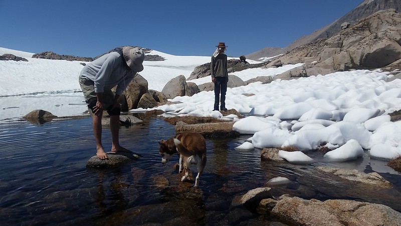 I never figured out why they wanted to wade into a small snow-ringed pond full of ice water