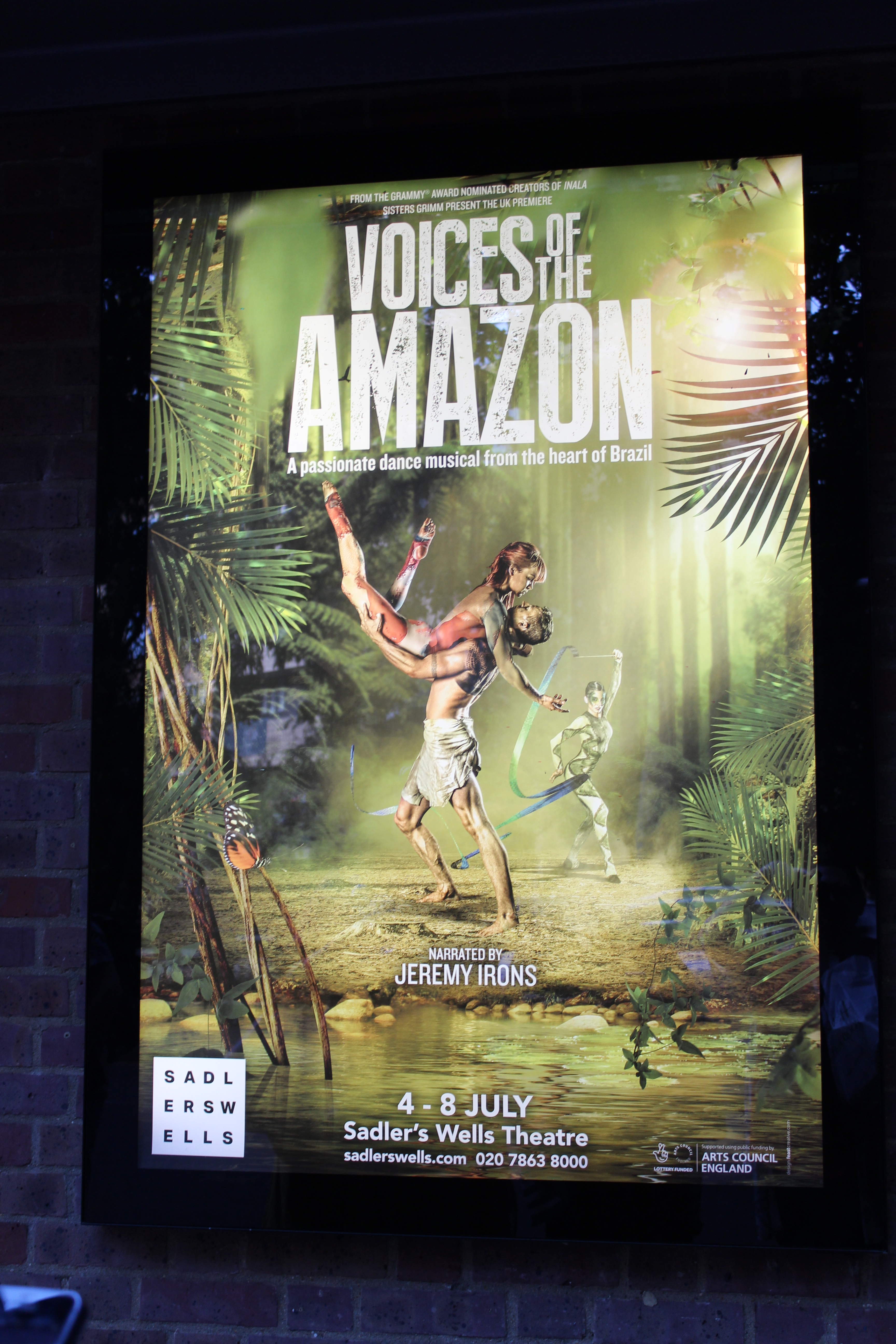 Voices of the Amazon poster
