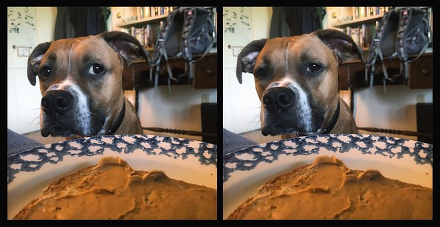 TFW your staff won't share their peanut butter toast.