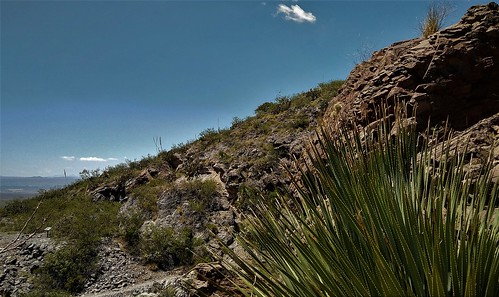 cactus lacuevatrail organmountains nm newmexico lacuevarocks drippingsprings outdoor mountains desertpeaks органмаунтинс лакуэва ньюмексико поамерике crossamerica2016