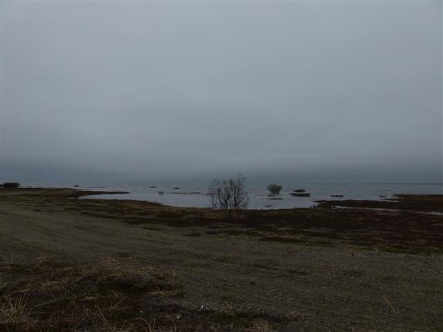 The-release-site-at-the-monument-marsh-with-receding-flood-water-25-June-2017