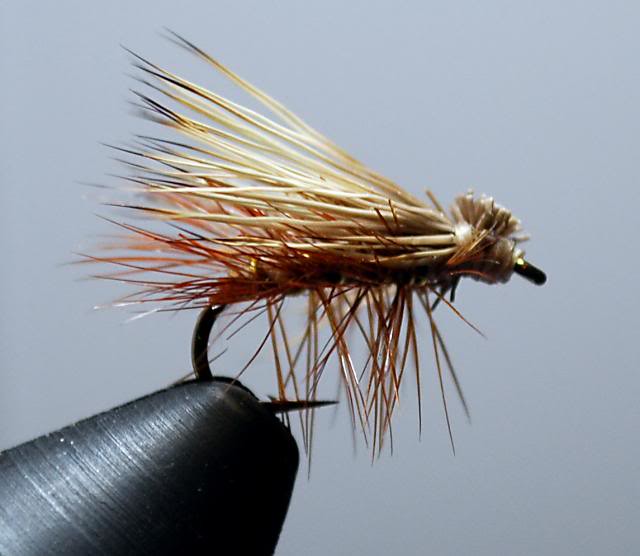 Elk Hair Caddis - The Fly Tying Bench - Fly Tying