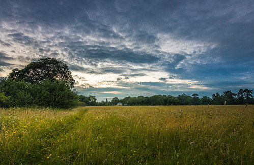 a late evening summer walk childer thornton meadow rivacrevalley little sutton cheshire ellesmereport uk england sunset