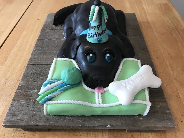 Cute Dog Cake by Natasha Blaisdell of Aunties Cakes & Decor