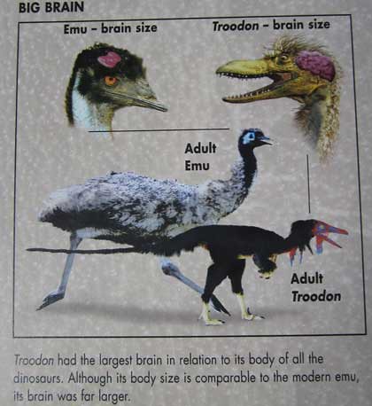 "If Dinosaurs Were Alive Today"